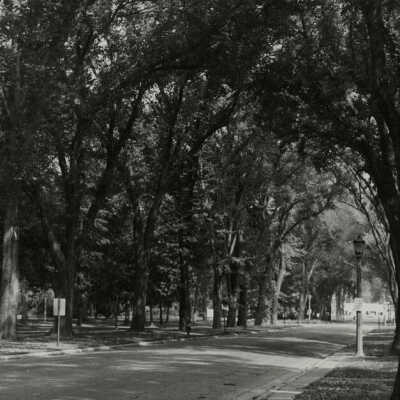 Cottage Hill Avenue