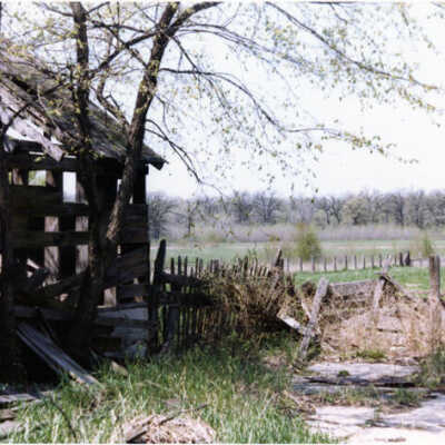 Fischer Farm, 1980