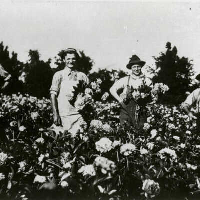 Swenson's Greenhouse, employees