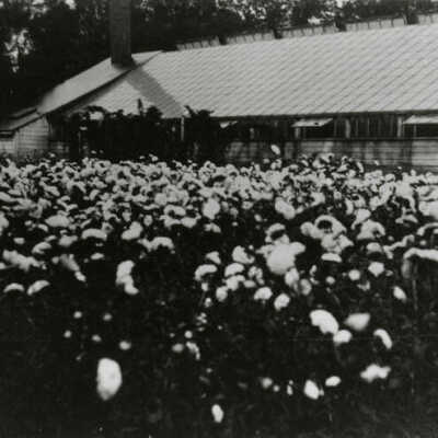 Swenson's Greenhouse
