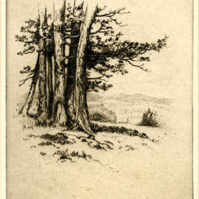 Etching