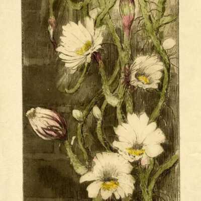 Print, Lee Sturges Etching