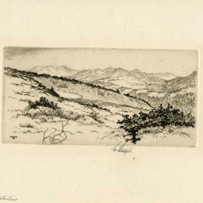 Print, Lee Sturges Etching