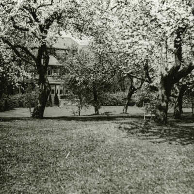 Francis King apple orchard