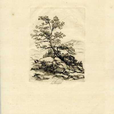 Print, Lee Sturges Etching