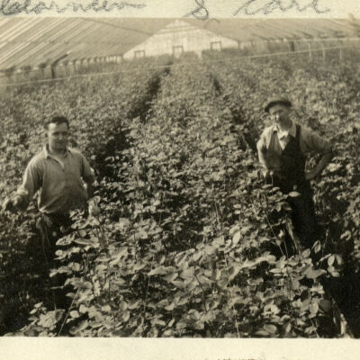 Wendland-Keimel Greenhouse Employees