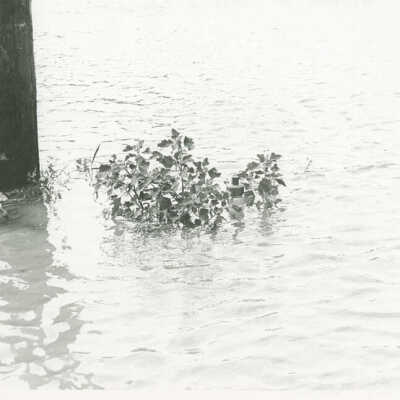 Flood 1972, Salt Creek flooding at Rex Blvd. & Crescent Street
