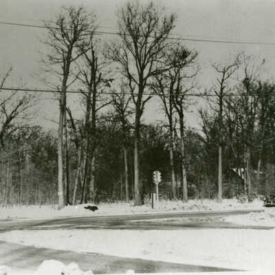North Avenue & Route 83