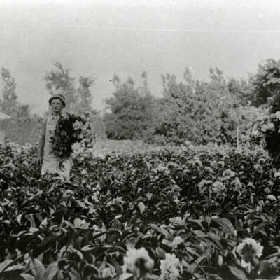Swenson's Greenhouse