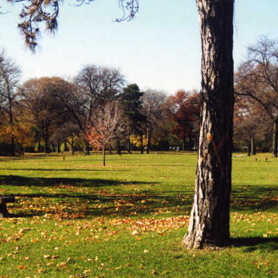 Mt. Emblem Cemetery
