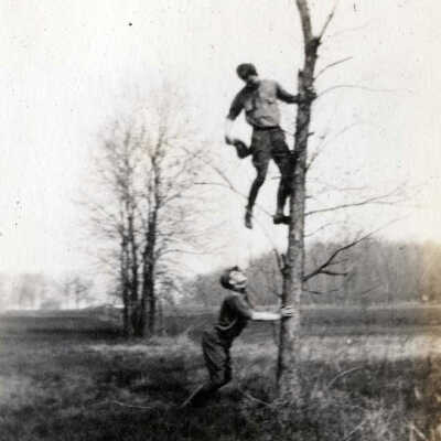 Young Men Climbing a Tree