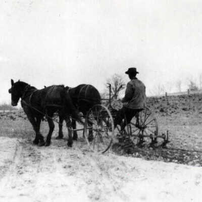 Roosevelt Road