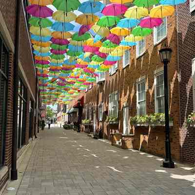 Umbrella Sky Elmhurst Exhibit