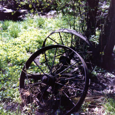 Fischer Farm, 1980