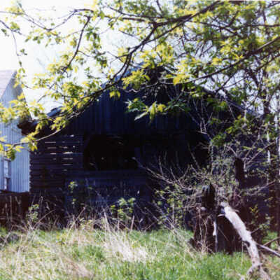 Fischer Farm, 1980