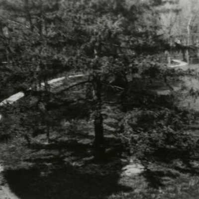 Wilder Estate, grounds