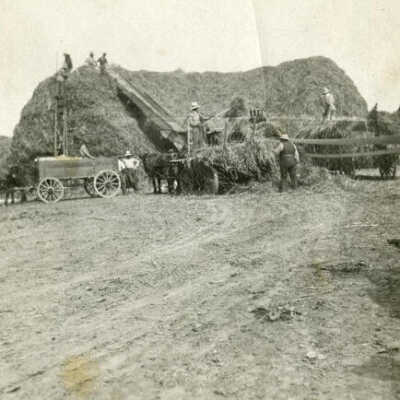 Threshing on Ahrens Farm