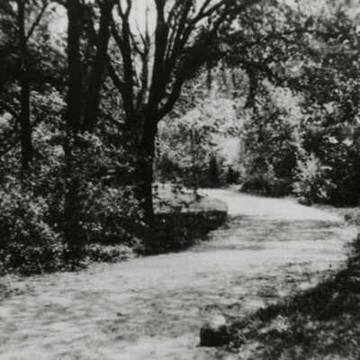 Wilder Estate, grounds