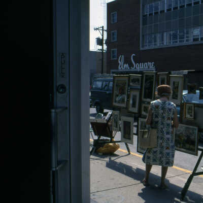 Elmhurst Art Fair on Schiller Street