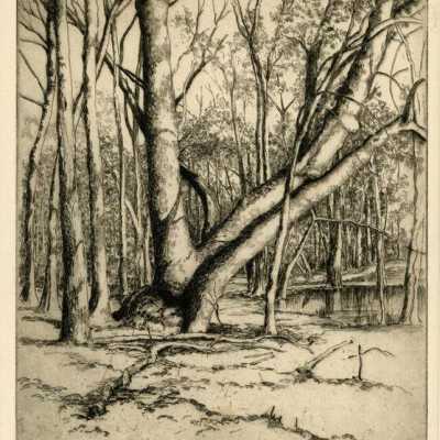 Etching
