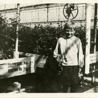 Wendland-Keimel Greenhouse