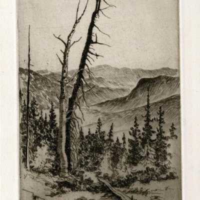 Print, Lee Sturges Etching