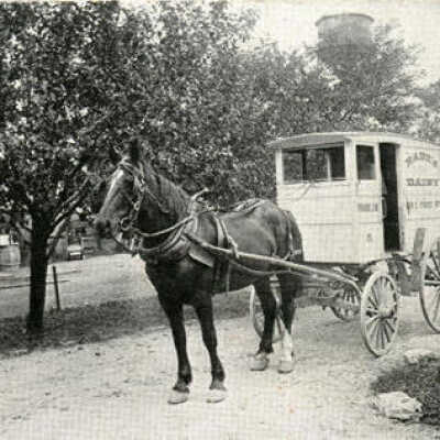 Rabe's Dairy, horse-drawn delivery vehicle