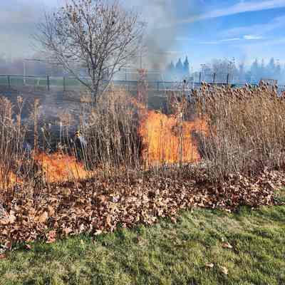 Controlled Burn at Berens Park