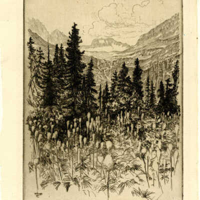 Etching