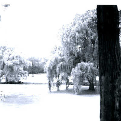 Elmhurst Country Club
