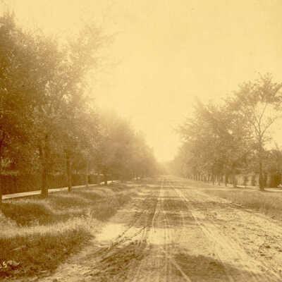 Cottage Hill Avenue