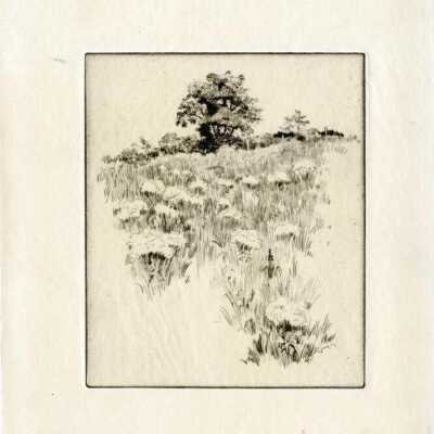Print, Lee Sturges Etching