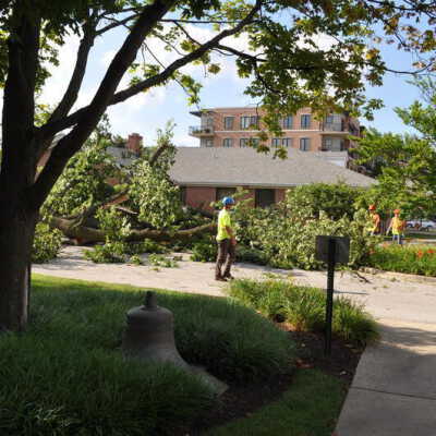 Tree Removal on Elmhurst History Museum Grounds
