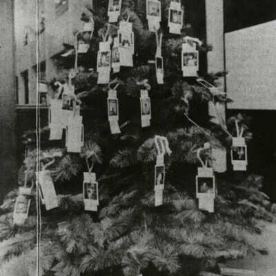 Elmhurst Public Library Liberty Tree