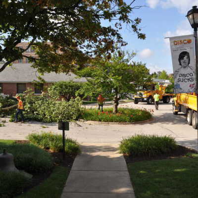 Tree Removal on Elmhurst History Museum Grounds