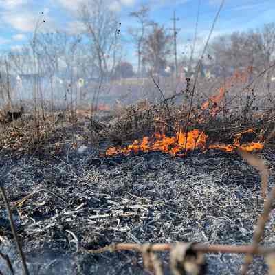 Controlled Burn at Keith Olsen Prairie