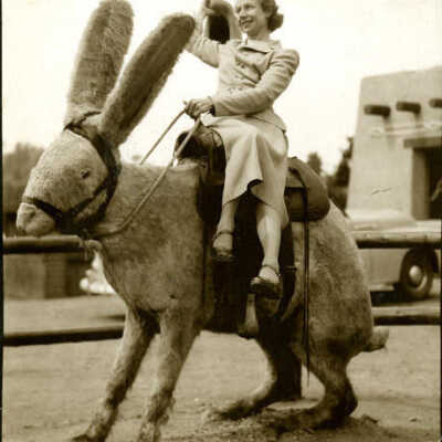 Dorothy Graue