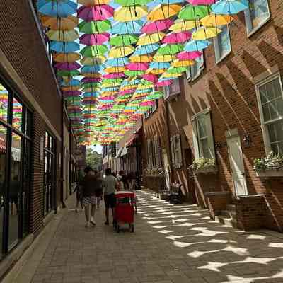 Umbrella Sky Elmhurst