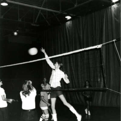 The Courts, Volleyball Game