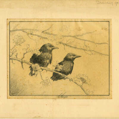 Art: Drawing, Sturges