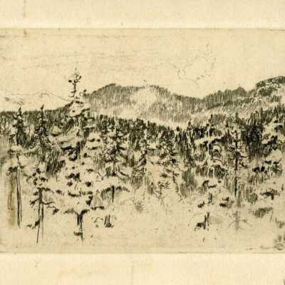 Print, Lee Sturges Etching