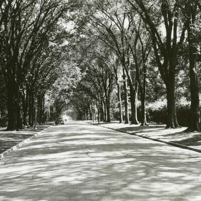Cottage Hill Avenue