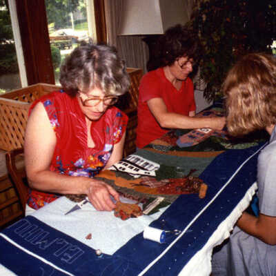 Elmhurst Piecemakers Sesquicentennial Quilt