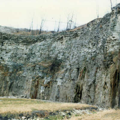 Elmhurst-Chicago Stone Company Quarry