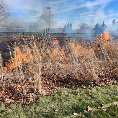 Controlled Burn at Berens Park