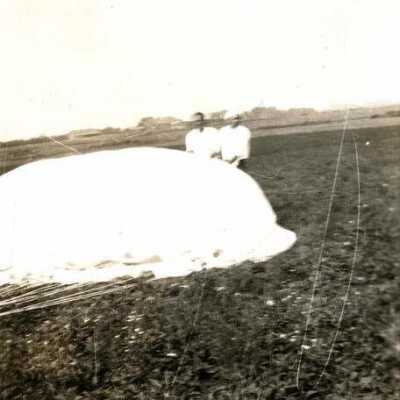 Elmhurst Airport, parachute