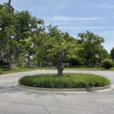 Elmhurst History Museum, traffic circle in museum parking lot