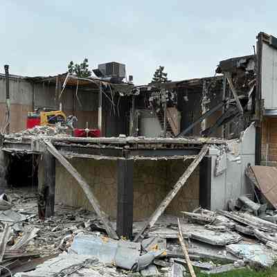 Wilder Park, Lizzadro Museum building demolition