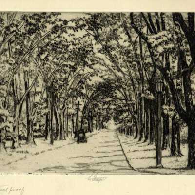 Print, Lee Sturges Etching