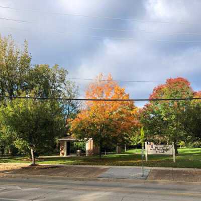 Wild Meadows Trace at S. York Street